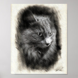 Poster Fluffy Gray Cat Sketch - Soft Feline Portrait Art
