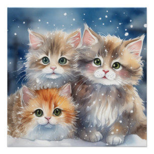 Pôster Fluffy Kittens