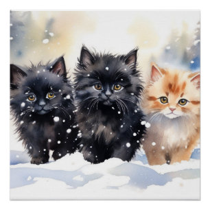 Pôster Fluffy Kittens