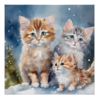 Fluffy Kittens