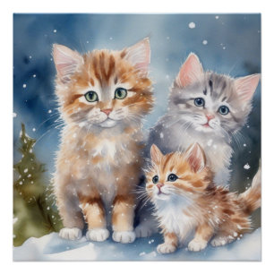 Pôster Fluffy Kittens