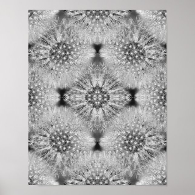 Poster Fluffy White Dandelions Abstrato Nature (Frente)