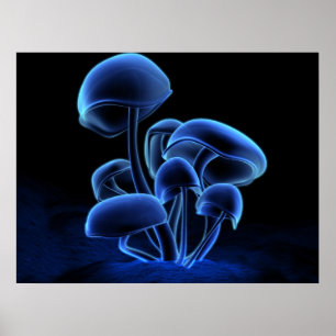 Poster Fluorescência