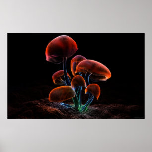 Pôster Fluorescência (2009)