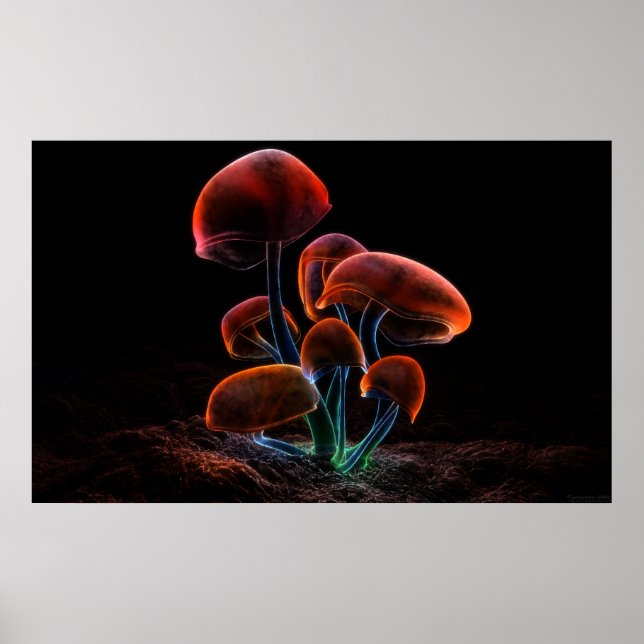 Pôster Fluorescência (2009) (Frente)