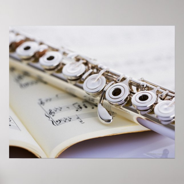 Poster Flute 2 (Frente)