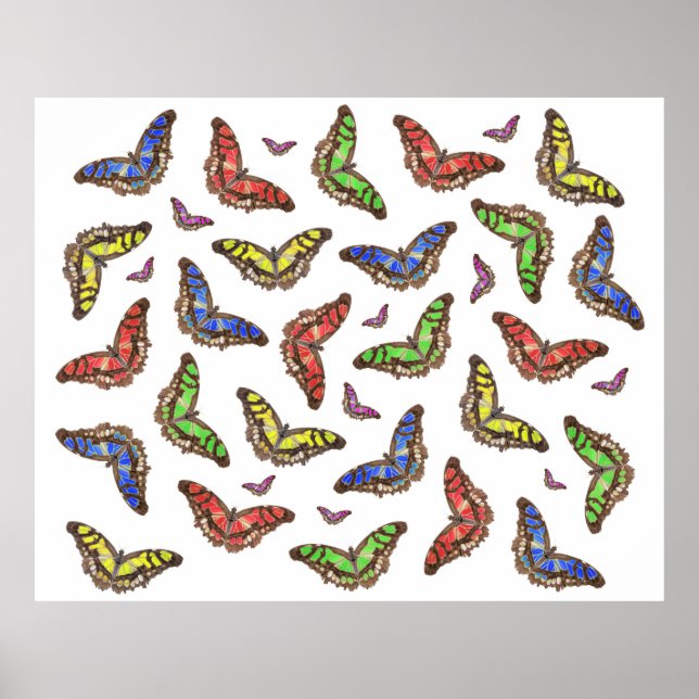 Poster Flutterbys (Frente)