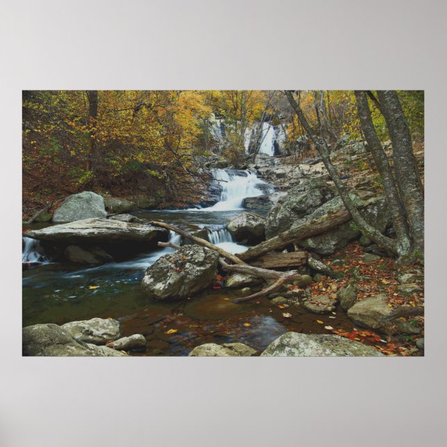 Pôster fluxo (Frente)