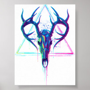 Poster Fluxo de Conexão