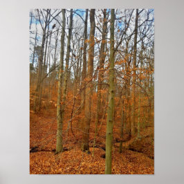 Poster Fluxo de outono