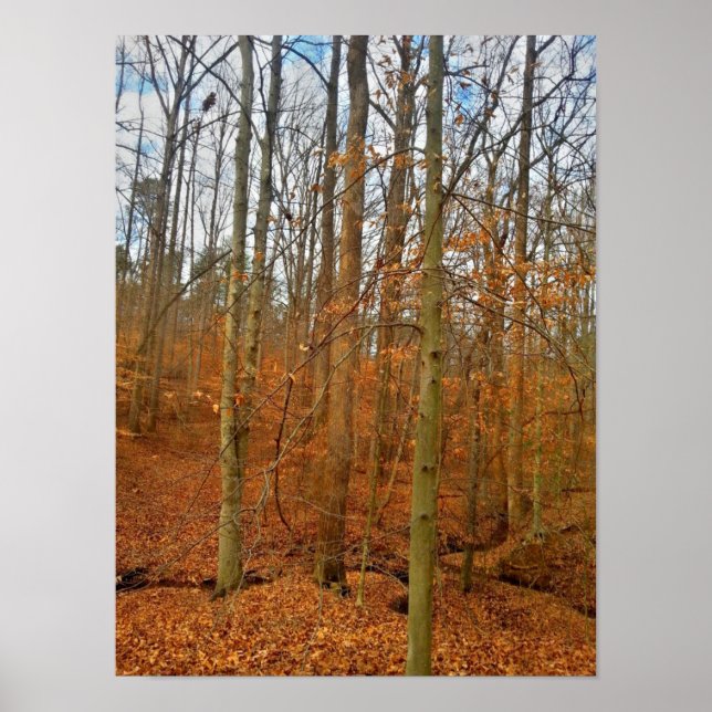 Poster Fluxo de outono (Frente)