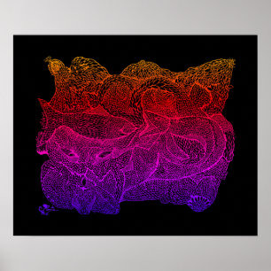 Poster Fluxo de Piscis da bexiga da vida