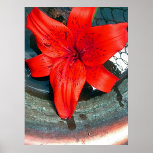 Poster Fluxo de Saturn