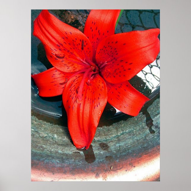 Poster Fluxo Saturno (Frente)