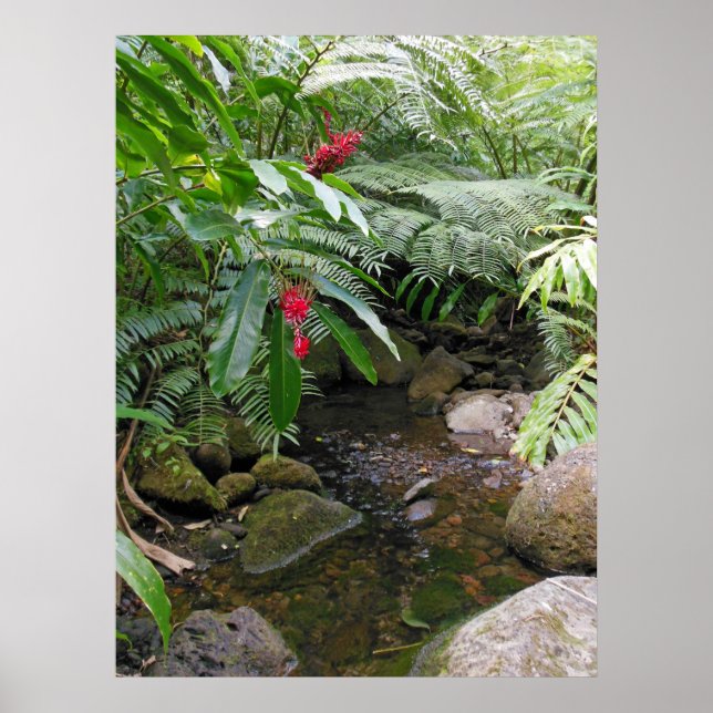 Poster Fluxo Tropical Havaiano (Frente)
