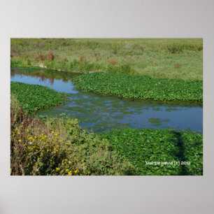 Poster Fluxos de Verde