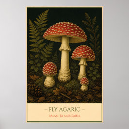 Poster Fly Agaric – Vintage Botanical Illustration