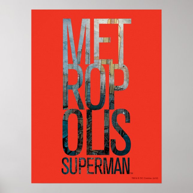 Poster Fly Society (Frente)