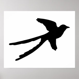 Poster Flycatcher de Scissortail