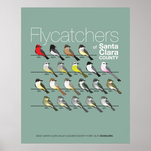 Poster Flycatchers de Papai noel Clara County (Frente)