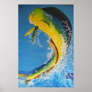 Pôster Flying dolphin