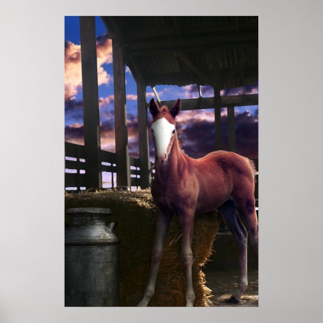 Pôster Foal Horse in the Barn (Frente)