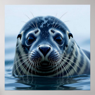 Poster Foca Fofa de Perto