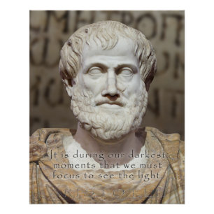 PÔSTER FOCO DAS CITAÇÕES DE ARISTOTLE - BUSTO DE PEDRA 