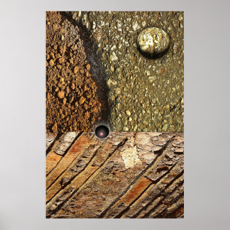 Poster Foco de Gregory Gallo