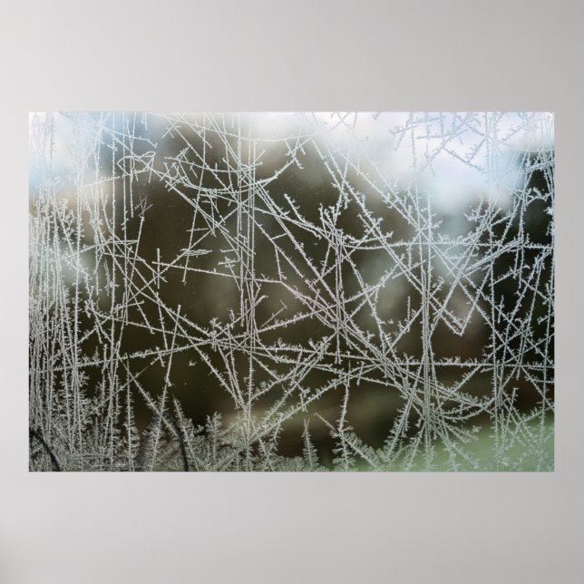 Poster Foco seletivo dos flocos de neve (Frente)