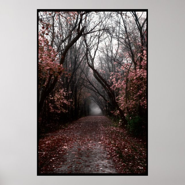 Poster Foggy Fall Trail (Frente)
