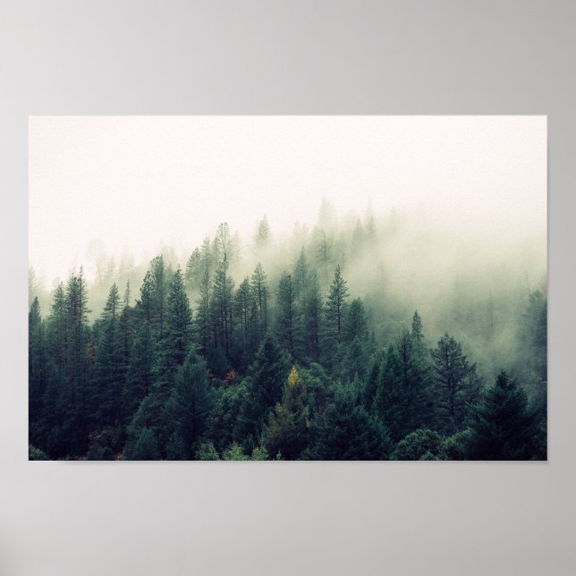 Poster Foggy Forest (Frente)