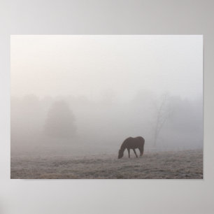 Poster Foggy Grazing