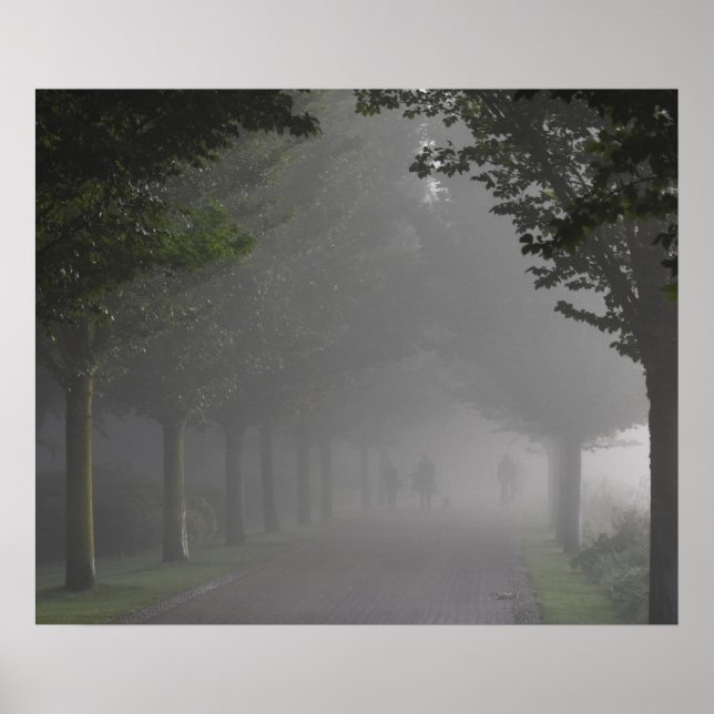 Poster Foggy Morning (Frente)