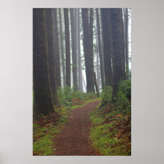 Poster Foggy morning, (Semi-Gloss)