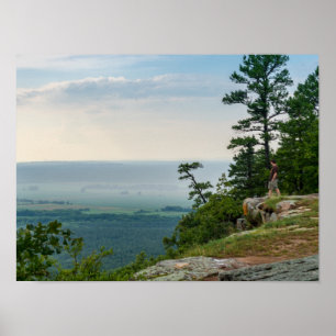 Poster Foggy No Petit Jean
