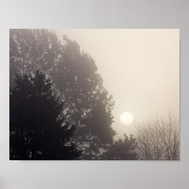 Poster Foggy Sunrise (Frente)