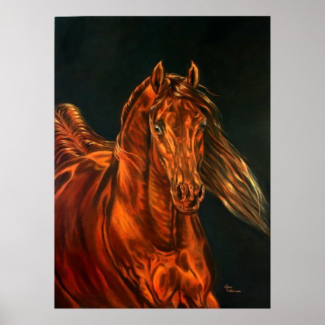 Pôster Fogo (Frente)