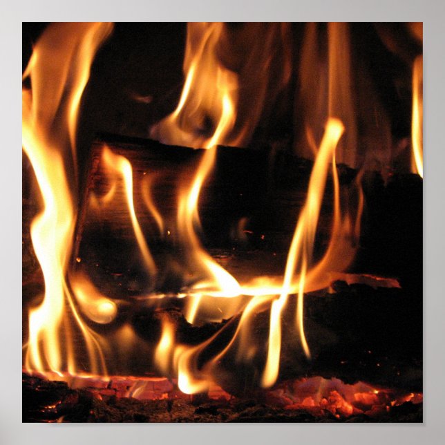 PÔSTER FOGO (Frente)