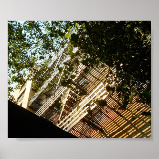 Pôster Fogo Escapa em Sombra e Sol