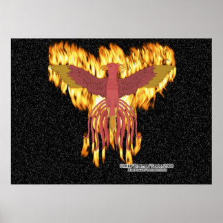 Poster Fogo Phoenix