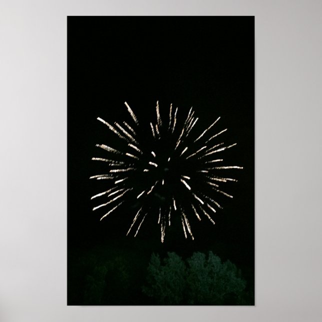 Pôster Fogos de Artifício com Árvore (Frente)