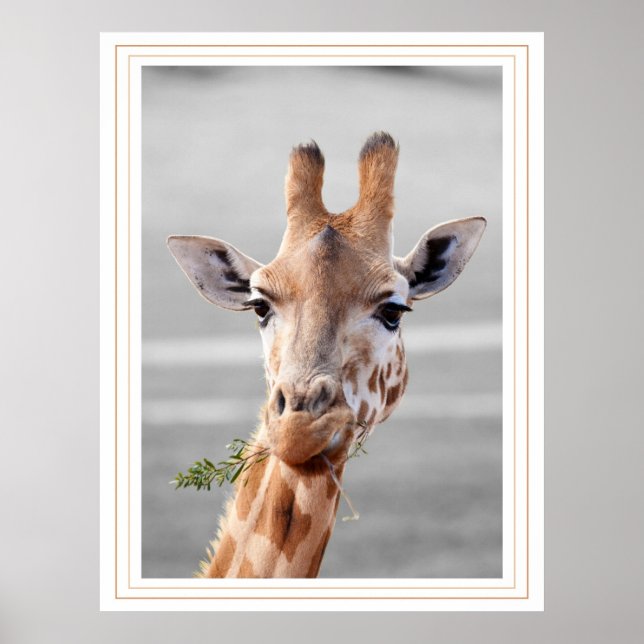 Pôster Foi Detectado (Frente)