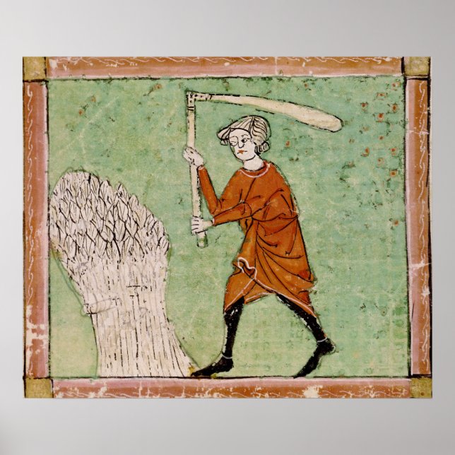 Pôster Fol.59r de agosto: Trigo Limitante (Frente)