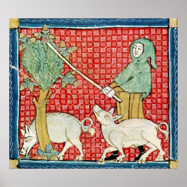 Pôster Fol.59v Novembro de Recolha de Bolotas (Frente)