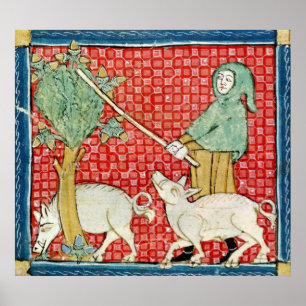 Pôster Fol.59v novembro: Recolhendo bolotas