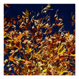 Pôster Folga Artística Contra Céu Azul Profundo