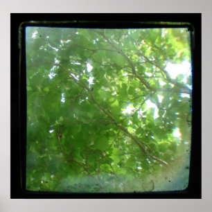 Pôster Folgas TTV