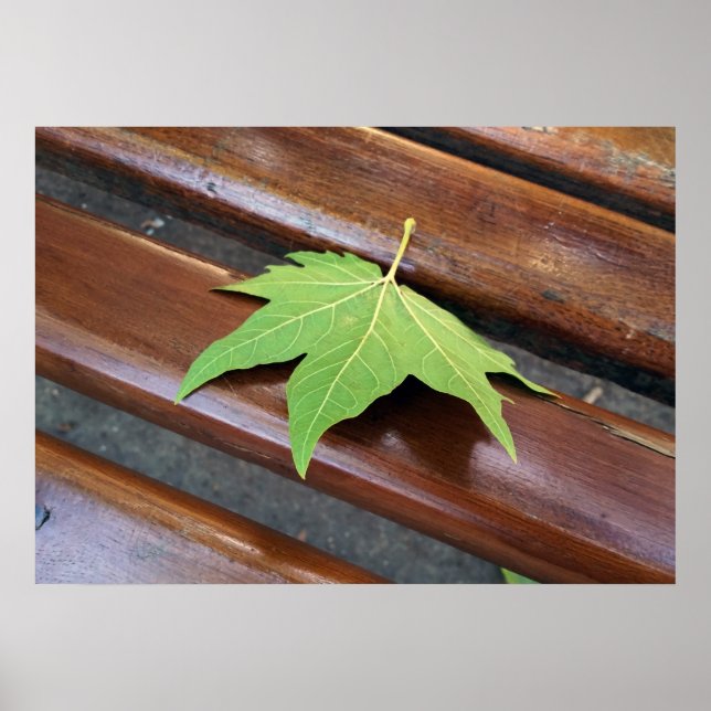 Pôster folha caída (Frente)