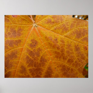 Poster Folha de Bordo Amarela Outono Abstrato Natureza
